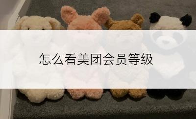 怎么看美团会员等级