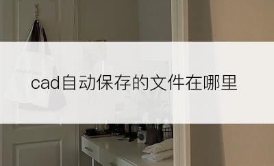 cad自动保存的文件在哪里