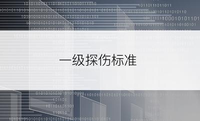 一级探伤标准