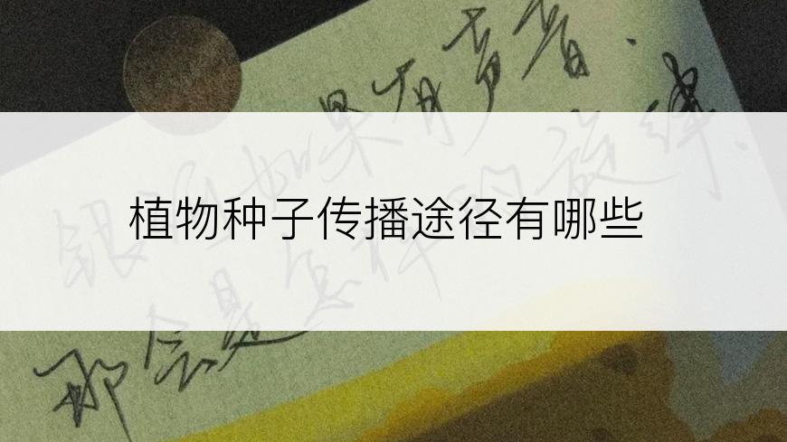 植物种子传播途径有哪些