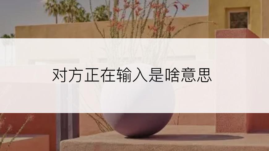 对方正在输入是啥意思