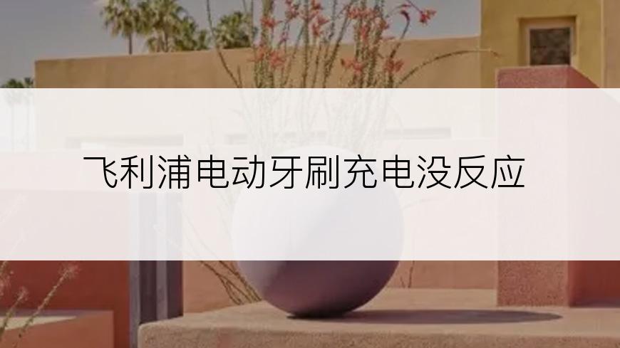 飞利浦电动牙刷充电没反应