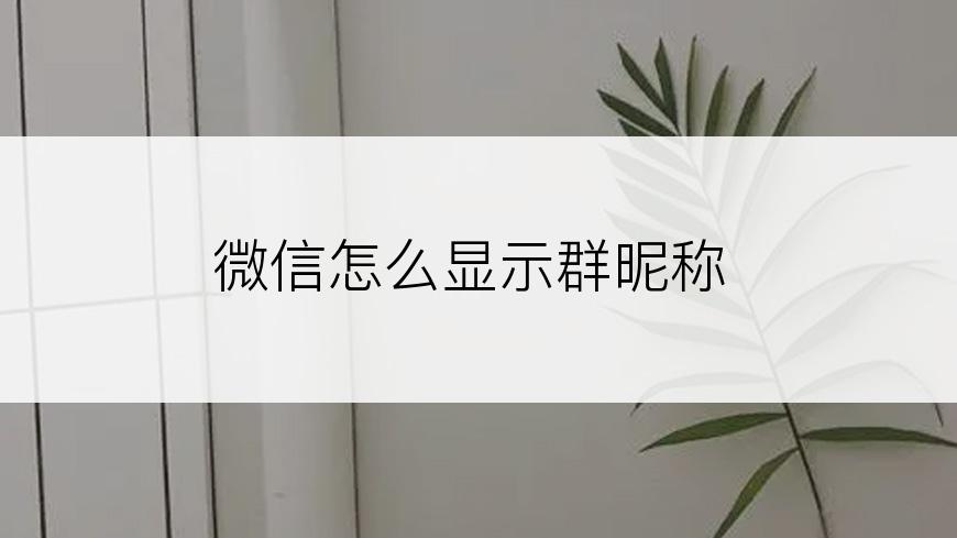 微信怎么显示群昵称