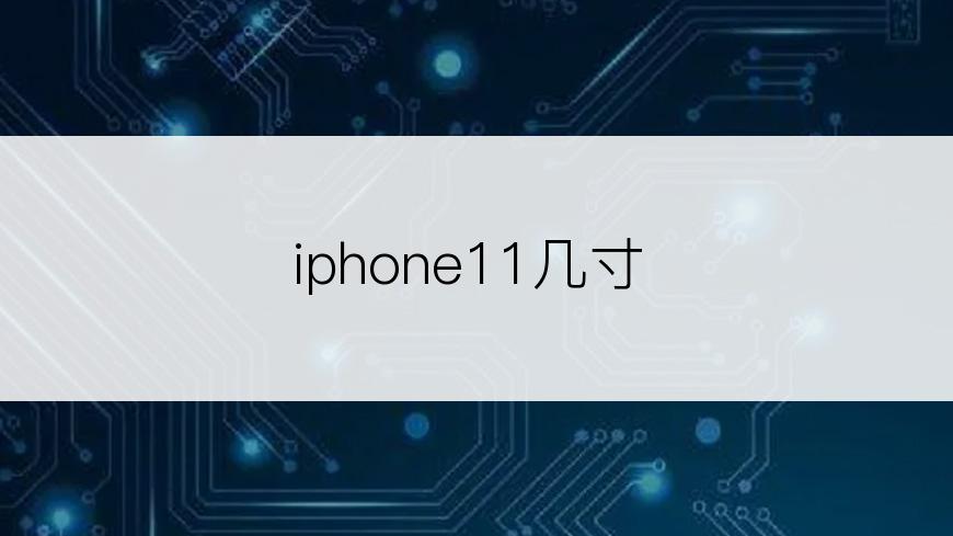 iphone11几寸