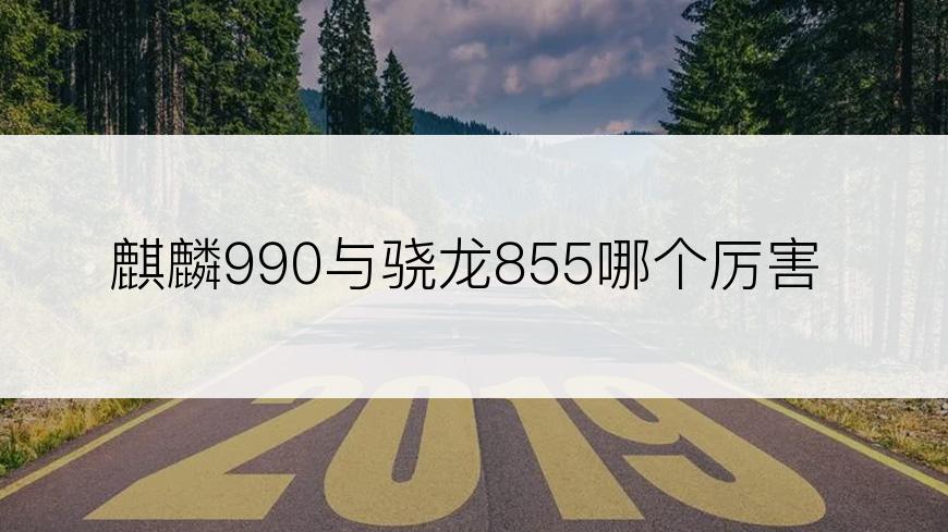 麒麟990与骁龙855哪个厉害