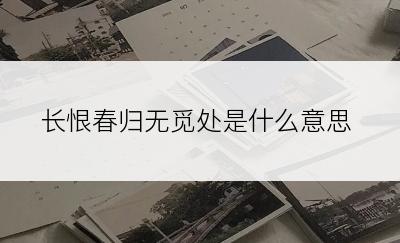 长恨春归无觅处是什么意思
