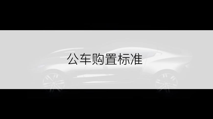 公车购置标准