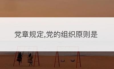 党章规定,党的组织原则是