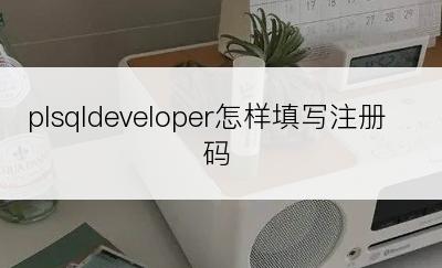 plsqldeveloper怎样填写注册码
