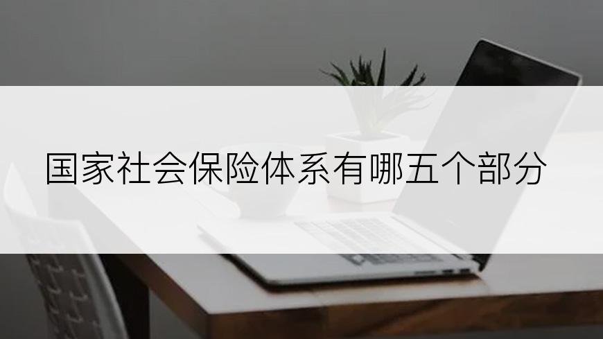 国家社会保险体系有哪五个部分
