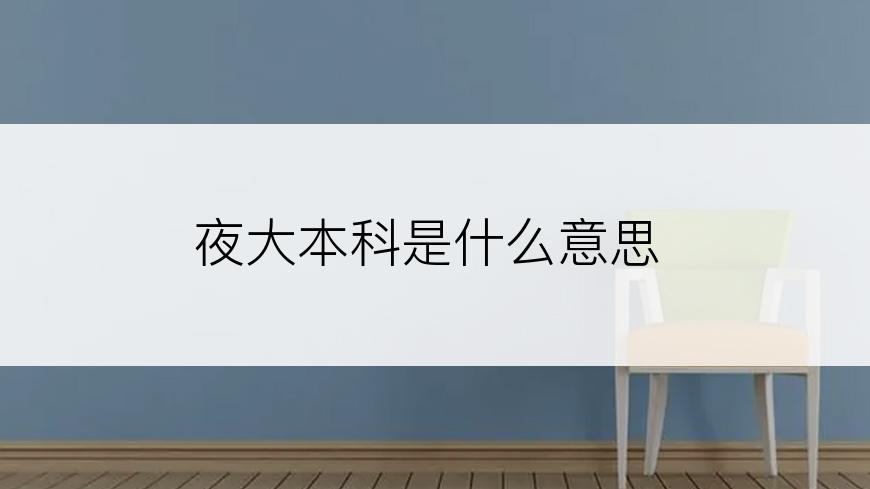 夜大本科是什么意思