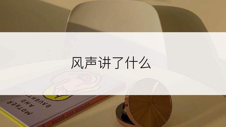 风声讲了什么