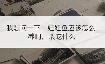 我想问一下，娃娃鱼应该怎么养啊，喂吃什么