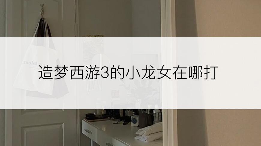 造梦西游3的小龙女在哪打