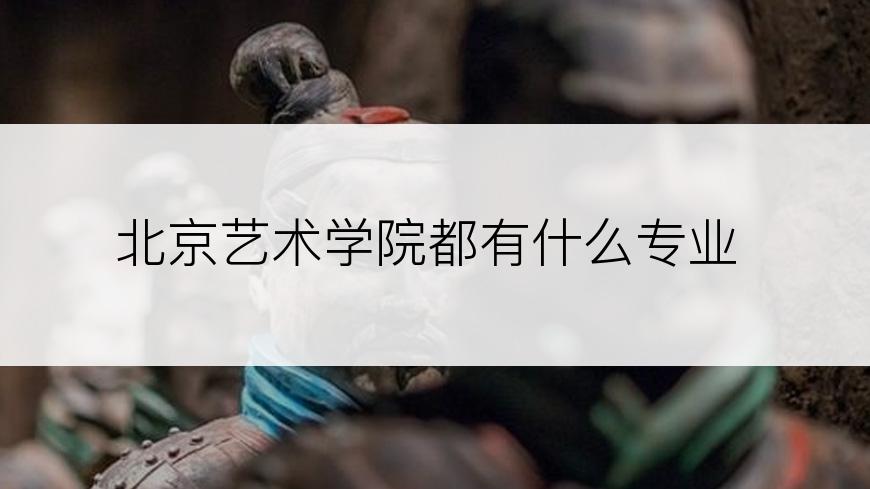 北京艺术学院都有什么专业