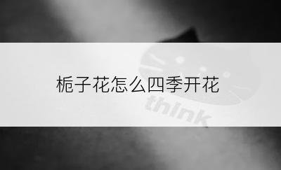 栀子花怎么四季开花