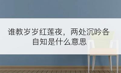 谁教岁岁红莲夜，两处沉吟各自知是什么意思