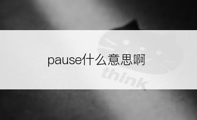 pause什么意思啊
