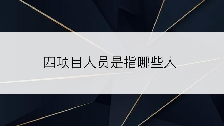 四项目人员是指哪些人