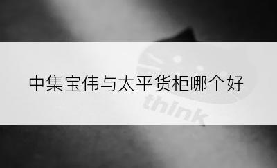 中集宝伟与太平货柜哪个好