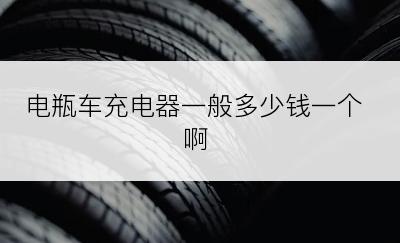 电瓶车充电器一般多少钱一个啊