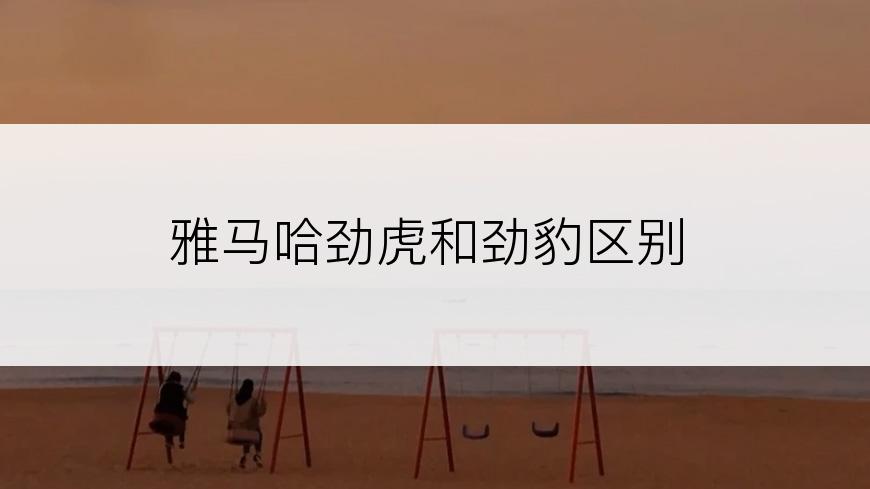 雅马哈劲虎和劲豹区别