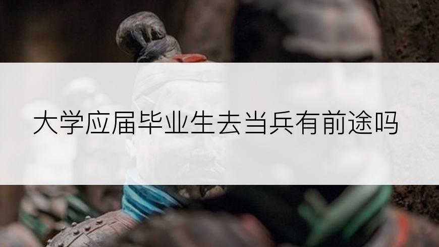 大学应届毕业生去当兵有前途吗