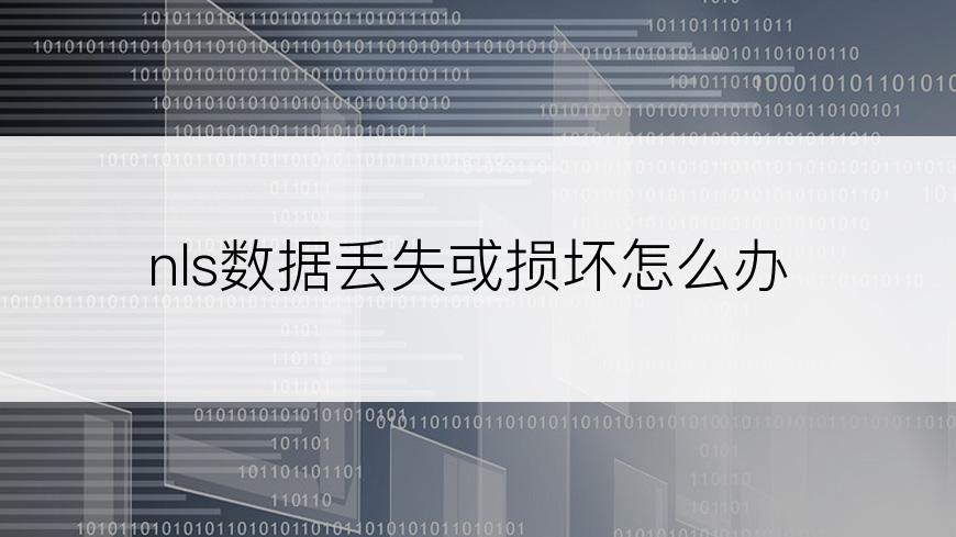 nls数据丢失或损坏怎么办