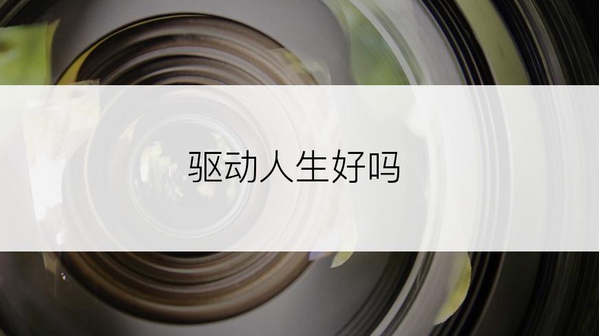 驱动人生好吗