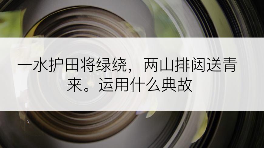 一水护田将绿绕，两山排闼送青来。运用什么典故