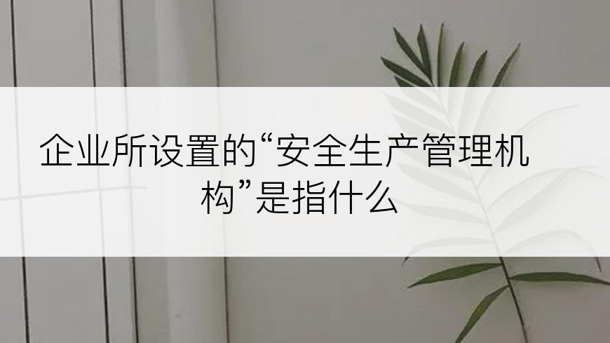 企业所设置的“安全生产管理机构”是指什么