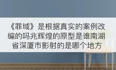 《罪域》是根据真实的案例改编的吗兆辉煌的原型是谁南湖省深厦市影射的是哪个地方