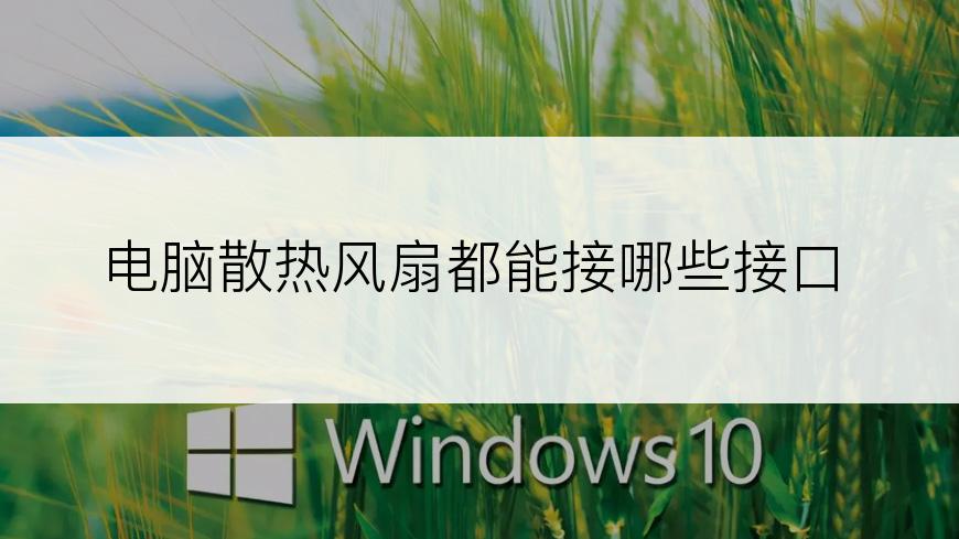 电脑散热风扇都能接哪些接口