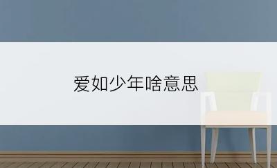 爱如少年啥意思