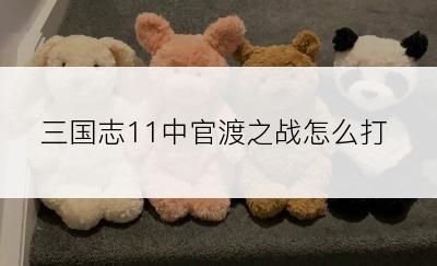 三国志11中官渡之战怎么打