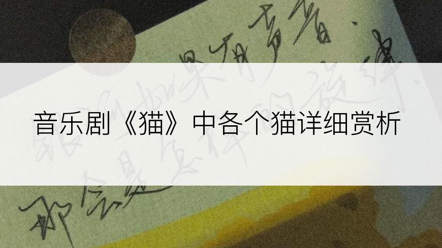 音乐剧《猫》中各个猫详细赏析