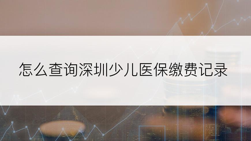 怎么查询深圳少儿医保缴费记录