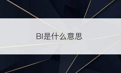 BI是什么意思