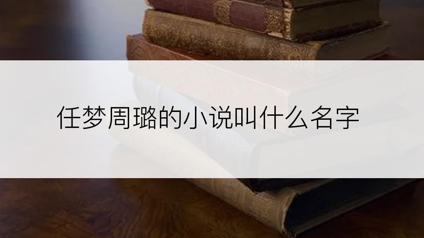 任梦周璐的小说叫什么名字