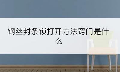 钢丝封条锁打开方法窍门是什么