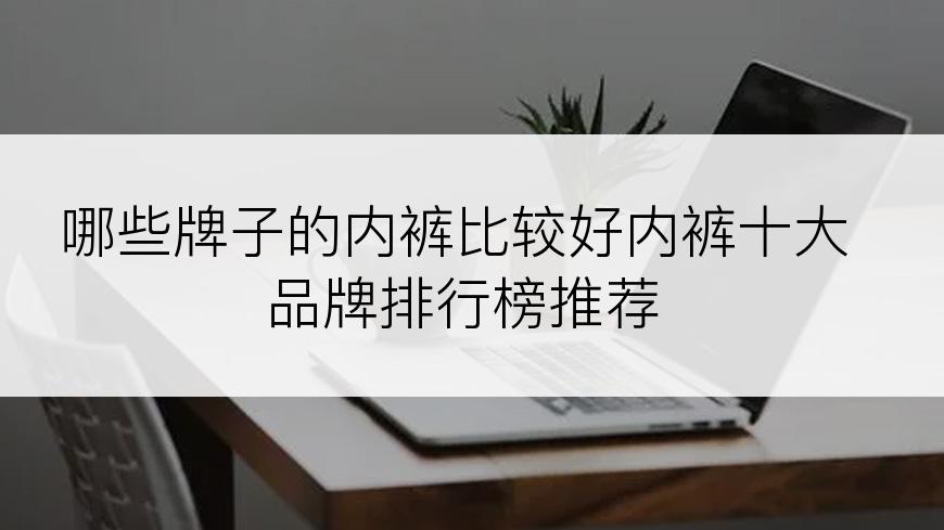 哪些牌子的内裤比较好内裤十大品牌排行榜推荐