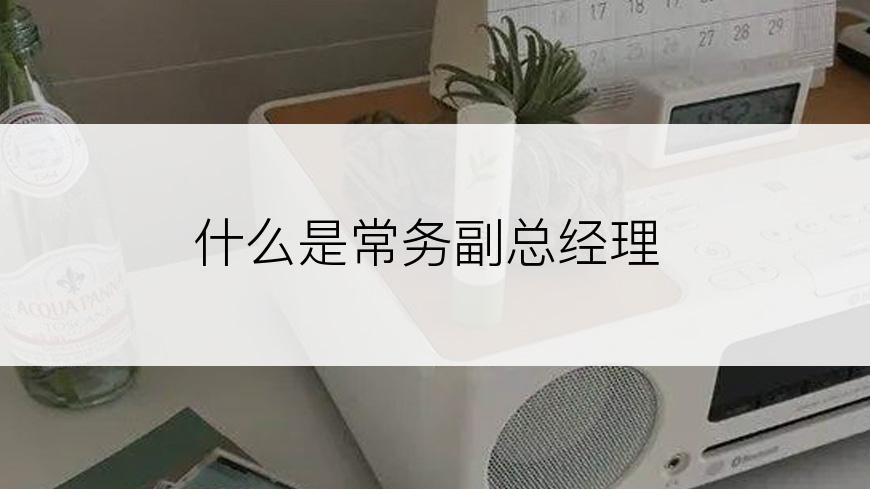 什么是常务副总经理