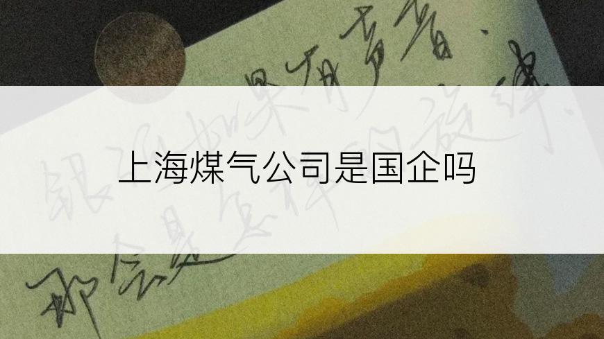 上海煤气公司是国企吗