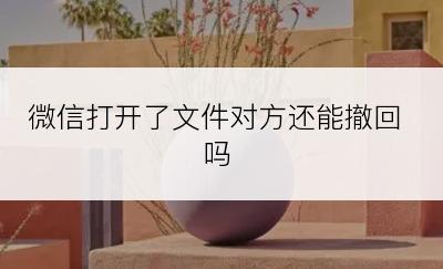 微信打开了文件对方还能撤回吗