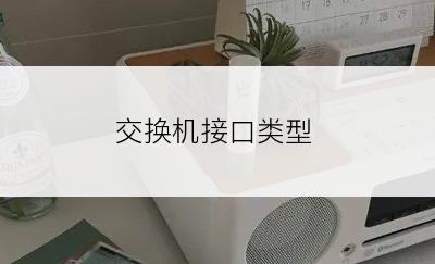 交换机接口类型