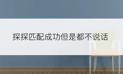 探探匹配成功但是都不说话