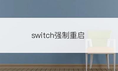 switch强制重启