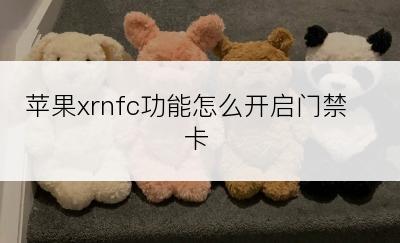 苹果xrnfc功能怎么开启门禁卡