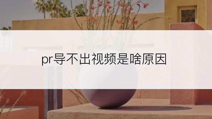 pr导不出视频是啥原因