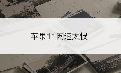 苹果11网速太慢